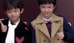 正太视频,青春洋溢的视觉盛宴